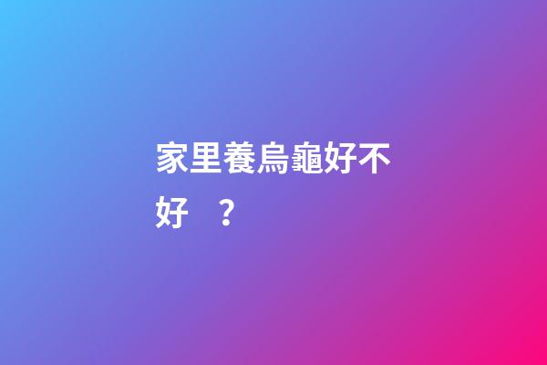 家里養烏龜好不好？